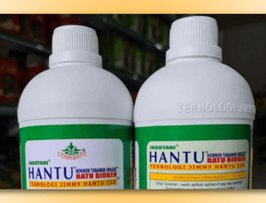 Pupuk Jimmy Hantu: Inovasi, Jenis, Nutrisi, Harga, dan Cara Membuat