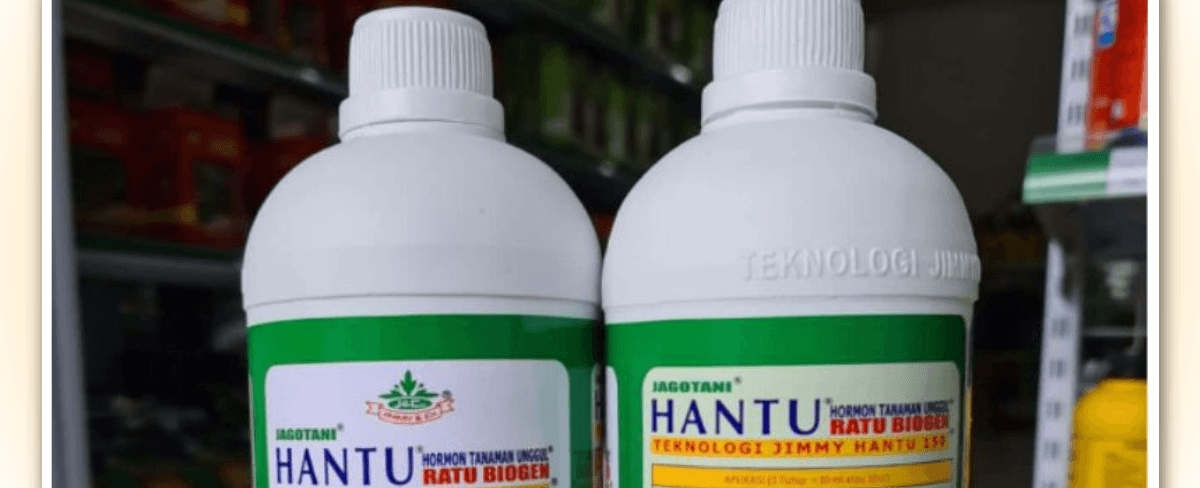 Pupuk Jimmy Hantu: Inovasi, Jenis, Nutrisi, Harga, dan Cara Membuat