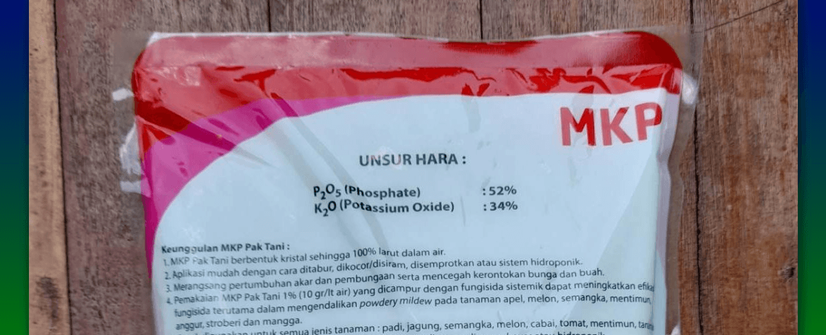 Kandungan Pupuk MKP dan Manfaatnya untuk Tanaman