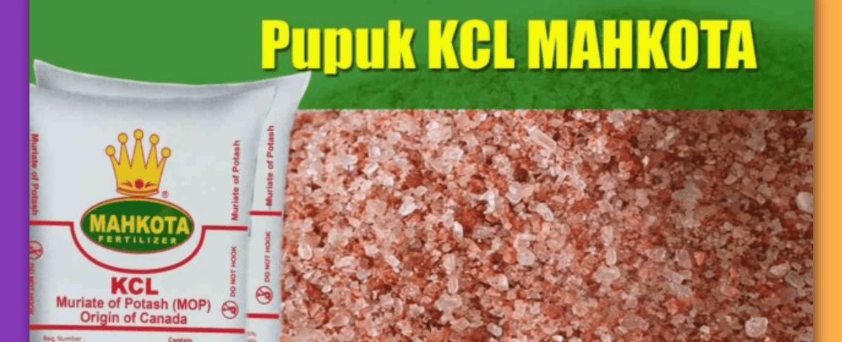 Fungsi Pupuk KCL dalam Pertumbuhan Tanaman