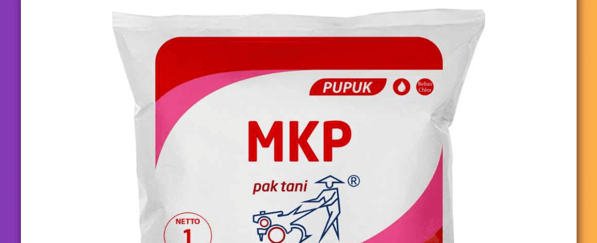 Pupuk MKP dan Aplikasinya: Manfaat dan Cara Penggunaannya