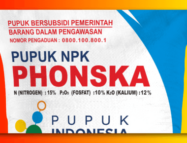 Kelebihan dan Kekurangan Pupuk Phonska serta Manfaatnya bagi Tumbuhan