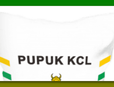 Pupuk KCL: Manfaat, Rekomendasi, dan Dosis Terbaru