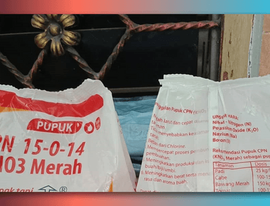 Maksimalkan Pertumbuhan dengan Pupuk KNO3 Merah