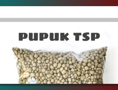 Apa Saja Kandungan Pupuk TSP