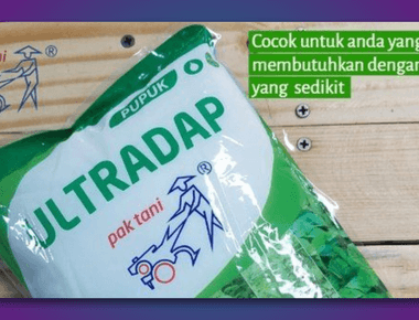 Kandungan Pupuk Ultradap serta Manfaatnya