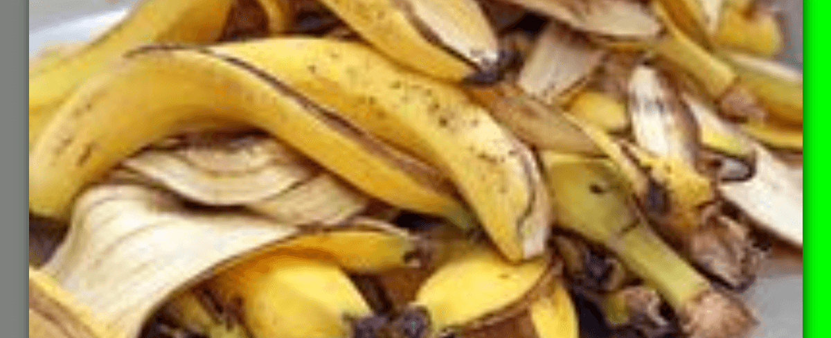 Pupuk Kulit Pisang: Membuat Pupuk Cair dan Alternatif Ubah Kulit Pisang Menjadi Tanah Subur